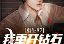 陈兴邦苏静小说叫什么(重生87:我重开钻石王老五副本免费阅读)-美文小说