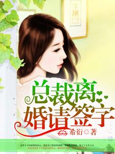 总裁，离婚请签字小说，总裁，离婚请签字在线阅读