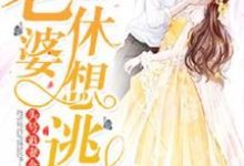 完整版的头号追妻令:老婆,休想逃小说在哪里可以免费读到?-美文小说