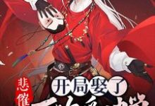 杨昊貂蝉曹操王允为主角的小说好看吗?免费读悲催,开局娶了一万次貂蝉-美文小说