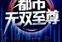 想读林霄萧微儿的故事,哪里可以免费找到都市无双至尊?-美文小说