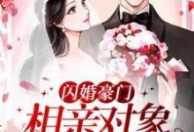 小说《闪婚豪门:相亲对象是大佬》在线章节阅读-美文小说