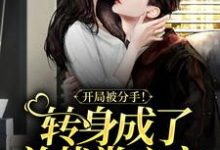 主人公叫齐之诺陆闻璟的小说哪里免费看-美文小说