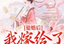 退婚后，我嫁给了皇叔最新章节，退婚后，我嫁给了皇叔免费阅读-美文小说