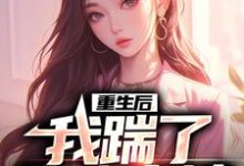 完结版《重生后，我踹了花心老婆》免费阅读-美文小说