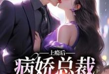 上瘾后,病娇总裁视我入命夏梨小说在线章节免费阅读-美文小说