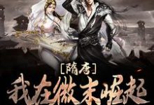 隋唐:我在微末崛起,屹立世界之巅萧政小说大结局免费试读-美文小说