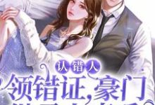 小说《认错人,领错证,豪门继承人真香》在线章节阅读-美文小说