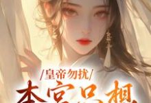 皇帝勿扰，本宫只想做咸鱼林安染郭翊辰小说在线章节目录阅读最新章节-美文小说