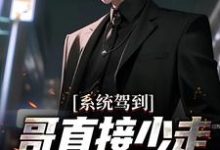 许武小说在线章节免费阅读（系统驾到，哥直接少走五十年弯路无弹窗无删减）-美文小说