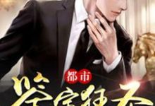 都市鉴宝狂圣章节免费在线阅读，秦昊雯静完结版-美文小说