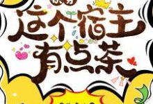 快穿这个宿主有点茶顾七七宋闵浩小说大结局免费试读-美文小说