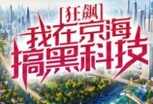 狂飙:我在京海搞黑科技小说有没有完整的免费版本在线阅读?-美文小说