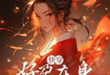 免费看快穿:好孕在身,我无敌了小说的网站有哪些?-美文小说