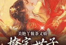 小说《美艳丫鬟茶又娇，撩完世子她就跑》章节阅读-美文小说