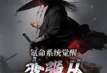 完整版的氪命系统觉醒,变强从掠杀开始小说在哪里可以免费读到?-美文小说