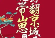 男女主人公叫苏梨楚怀安顾远风陆乾的小说免费资源-美文小说