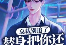 总裁别追了,替身把你还给白月光了小说全文哪里可以免费看?-美文小说