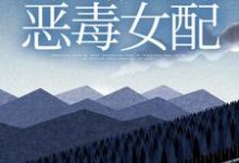 小说《穿越救赎文,开局成为恶毒女配》在线章节阅读-美文小说