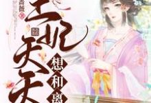 《王妃天天想和离》全集免费在线阅读(傅婉秦修寒)-美文小说