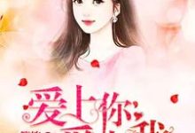 小说《爱上你爱上我》章节免费阅读-美文小说