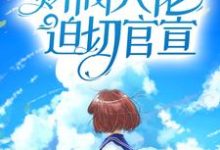 闪婚后,财阀大佬迫切官宣叶宜宁厉霆州,闪婚后,财阀大佬迫切官宣最新章节-美文小说