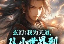 主角叫祂,林辰的小说在哪阅读-美文小说