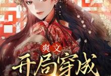 爽文:开局穿成尊贵贵妃小说的免费阅读版本在哪里可以找到?-美文小说