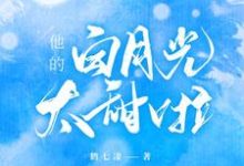 他的白月光太甜啦小说的免费电子版在哪里可以下载或阅读?-美文小说