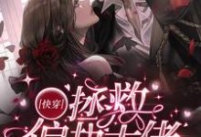 快穿拯救偏执大佬小说的最新章节在哪里更新?免费追踪阅读-美文小说