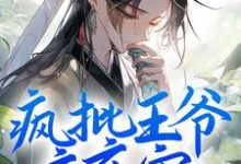 《疯批王爷夜夜宠，冤种妾室只想逃》小说章节在线试读，《疯批王爷夜夜宠，冤种妾室只想逃》最新章节目录-美文小说