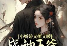 《小娇娇又撩又暖，战神王爷江山为聘》小说大结局免费试读 沈如意秦北昱小说-美文小说