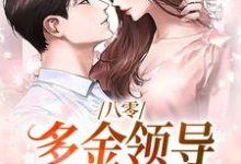 八零:多金领导独宠俏医生这本小说怎么样?免费在线阅读试试-美文小说