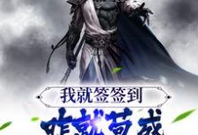 主角叫叶休的小说在哪阅读-美文小说