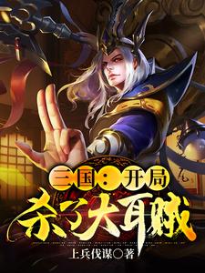 三国：开局杀了大耳贼小说，三国：开局杀了大耳贼免费阅读