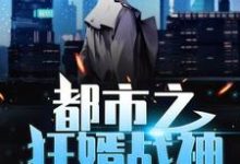 哪里能找到都市之狂婿战神小说的全部章节?-美文小说