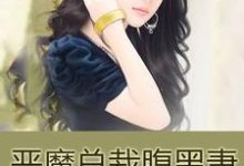 小说《恶魔总裁腹黑妻》章节免费阅读-美文小说