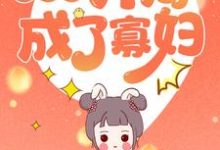 小说《穿越之开局成了寡妇》章节阅读-美文小说