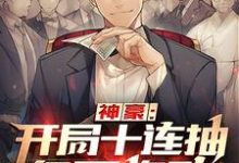 神豪:开局十连抽亿万奖励这本小说怎么样?免费在线阅读试试-美文小说