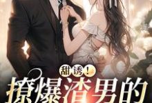 甜诱!撩爆渣男的禁欲小叔这本小说怎么样?免费在线阅读试试-美文小说