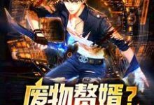 哪里可以免费读到苏辰夏若曦的完整故事?寻找废物赘婿?不,我是战狼!-美文小说