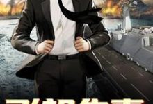 飞机失事,我力挽狂澜林凡小说在线章节目录阅读最新章节-美文小说