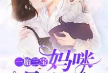 一胎三宝妈咪是学霸这本小说完结了吗?免费查看最新章节-美文小说