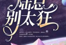 追妻预警:陆总别太狂小说,追妻预警:陆总别太狂 程念念陆琰-美文小说