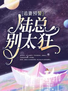 追妻预警：陆总别太狂小说，追妻预警：陆总别太狂 程念念陆琰