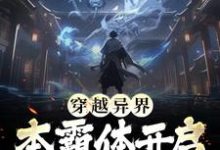 穿越异界,本霸体开启挂比之旅(叶枫)在线免费阅读-美文小说