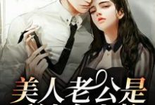 美人老公是反社会人格这本小说怎么样?免费在线阅读试试-美文小说