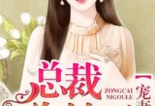 完结版《宠妻成瘾,总裁你够了》章节阅读-美文小说