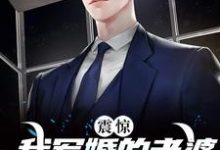 免费看震惊!我军婚的老婆成富婆了小说的网站有哪些?-美文小说