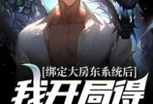 绑定大房东系统后,我开局得大平层黄粱伊梦,绑定大房东系统后,我开局得大平层最新章节-美文小说